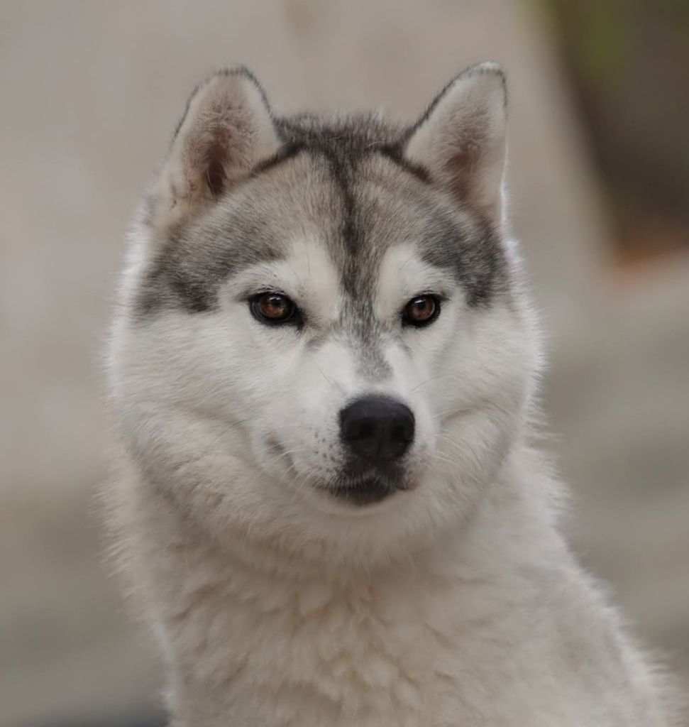 R'neebia Of cold winter nights